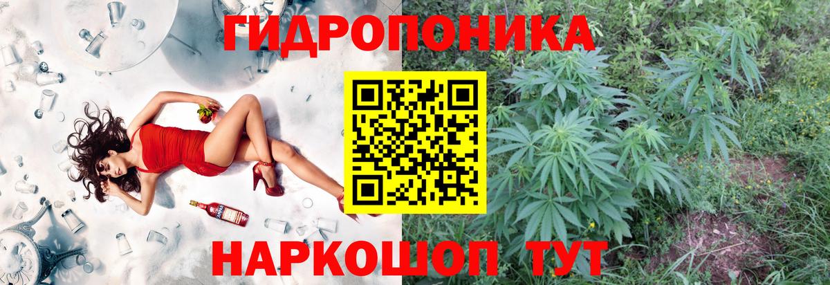 Шишки марихуана THC 21%  Шишки марихуана конопля  Вход с VPN  Нефтеюганск  Канабис марихуана 